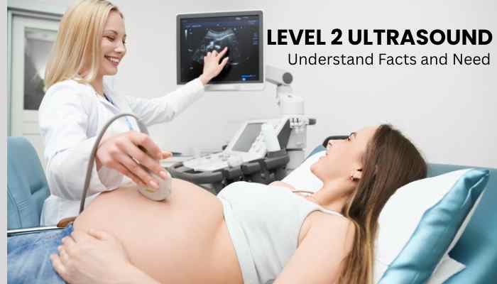 Level 2 Ultrasound