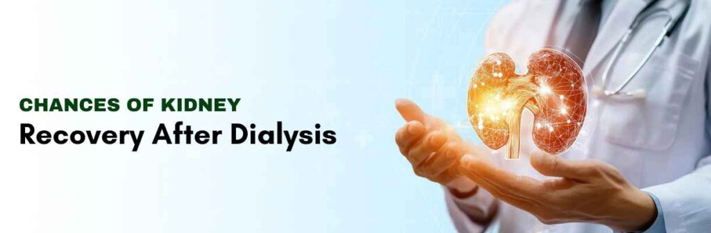 Kidney Recovery After Dialysis