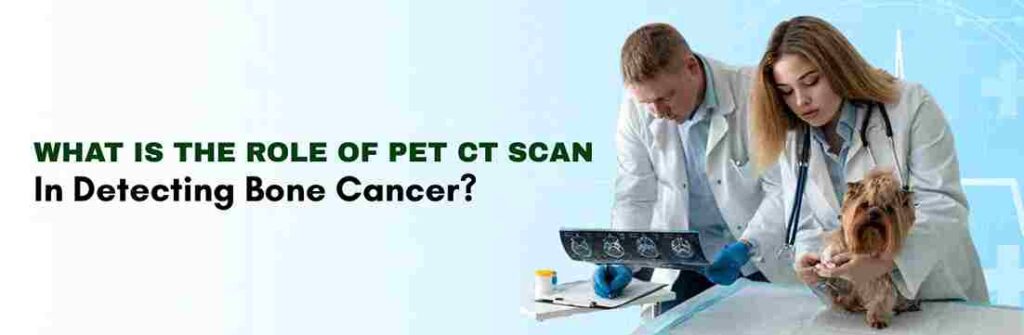 role of pet CT Scan