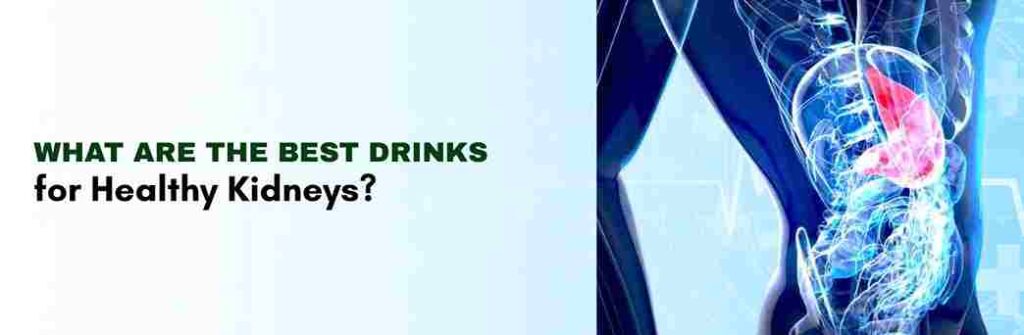 Best Drinks for Healthy Kidneys